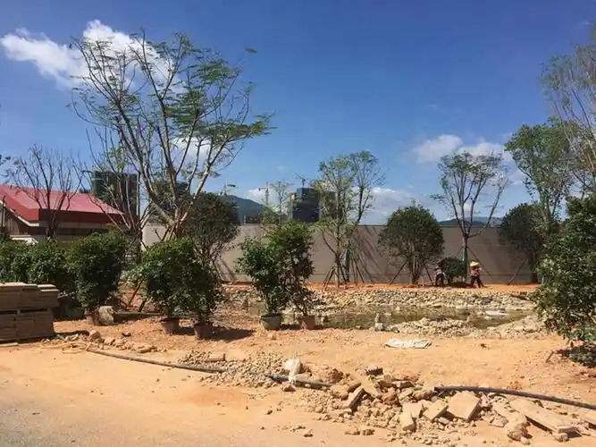 园林绿化工程施工现场管理