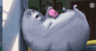 猫都是神经病,你们也懂的)跟男神麦克说话,控制不住喜悦,摇尾巴的啾啾