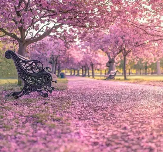 带你看看这春天的美景