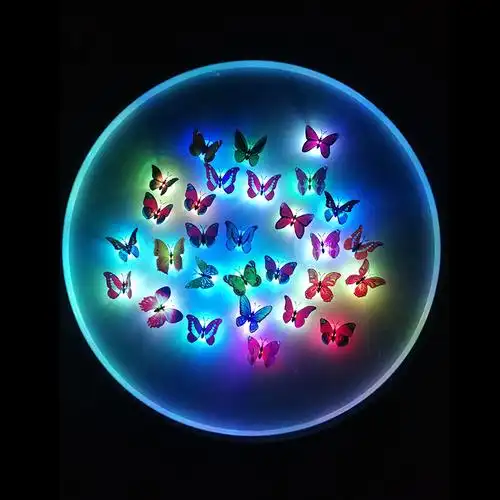 夜光蝴蝶主图1.jpg