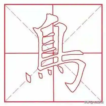 鸟的笔顺怎么写十的笔顺怎么写的笔顺