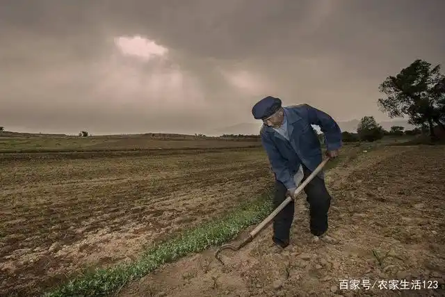 农村春耕,夏耘,秋收,冬天储藏粮食