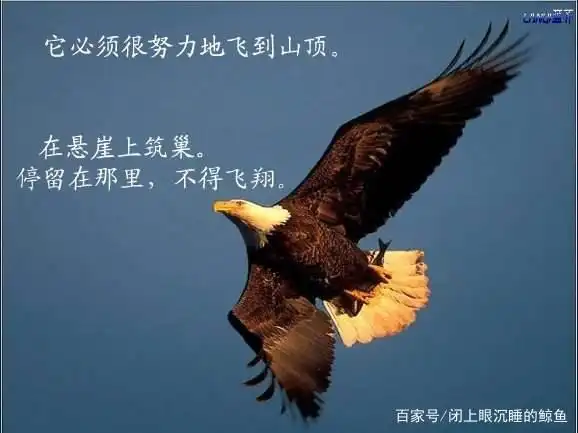 我多希望我可以——重生