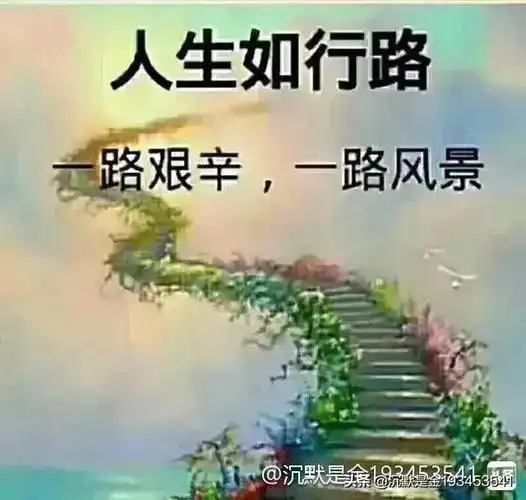 人生之路崎岖不平,但处处是风景,处处有收获!