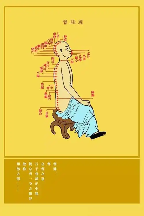 奇经八脉是大药,一治就治一大片!