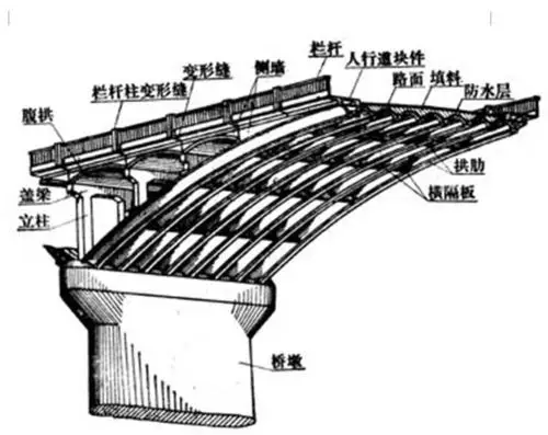 和拱肋有什么区别?