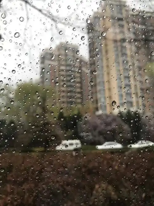 雨中