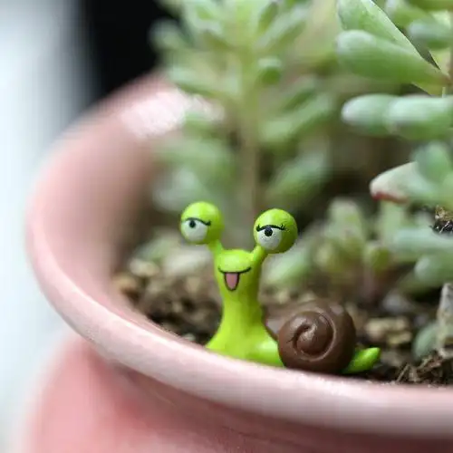 万象花卉进口多肉摆件突眼蜗牛套装微景观摆件盆景摆件园艺摆件