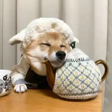 微信可爱狗狗头像蠢萌 柴犬可爱头像高清搞笑-可爱头像