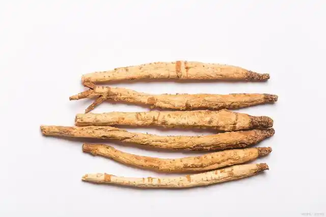 南沙参,北沙参傻傻分不清