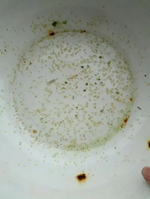 展开全部 这是草金鱼,有的地方叫小锦鲤,实际不是锦鲤.