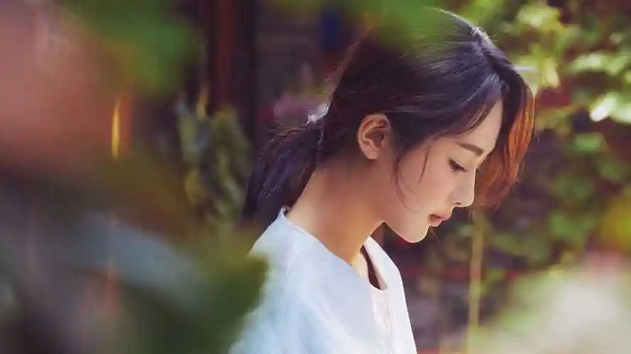 昨夜情话,转身天涯秦怡严易泽大结局免费阅读,昨夜情话,转身天涯