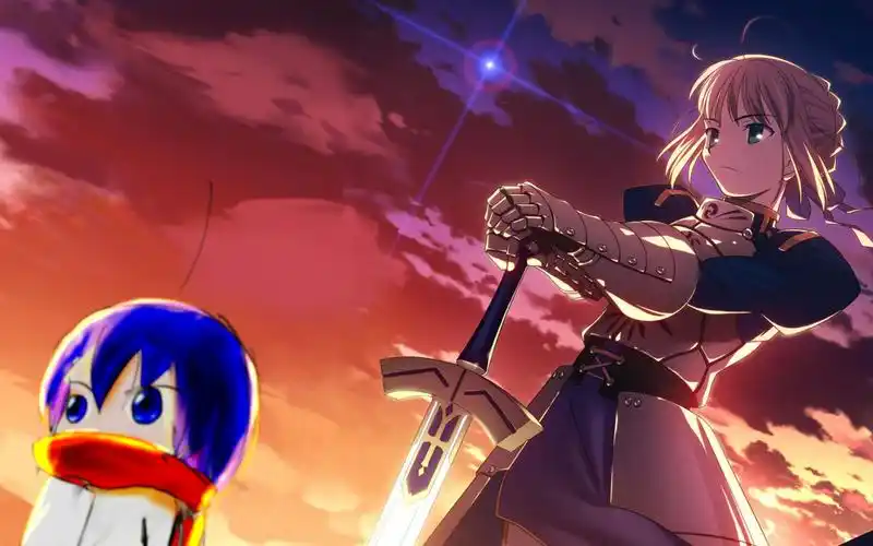 【卡祖笛】命运之夜