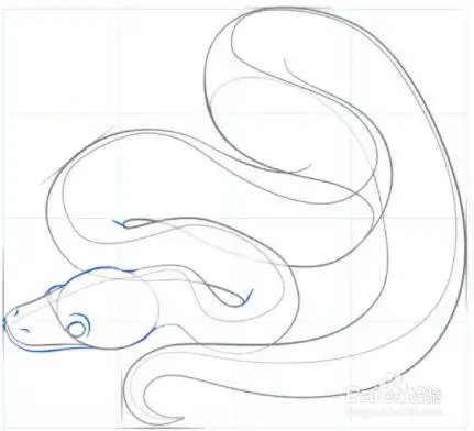 如何画一条蟒蛇