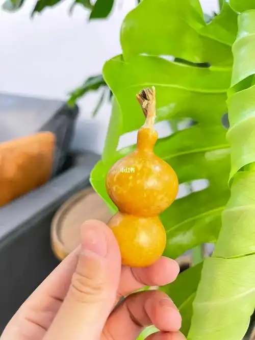 第一把花叶病小葫芦