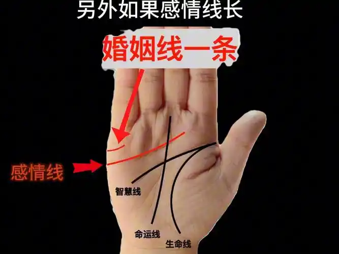 那里是婚姻线,感情线