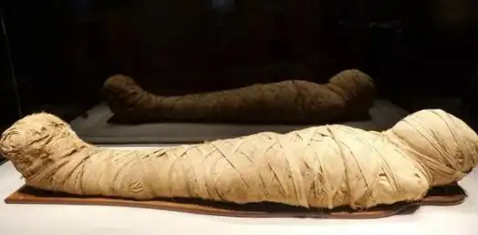 中世纪欧洲贵族为什么把木乃伊吃到断货