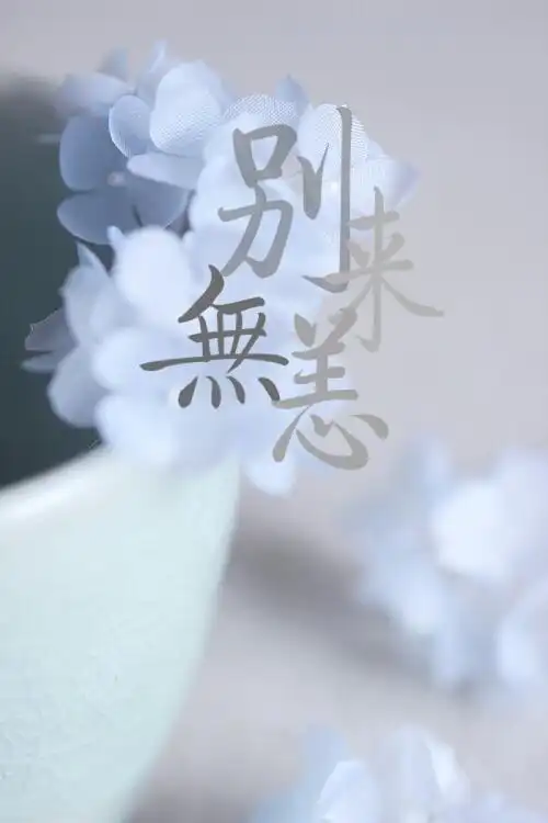 张杰 原创设计 请勿盗图 取图评论 壁纸 锁屏 头像 燕归巢 别来无恙