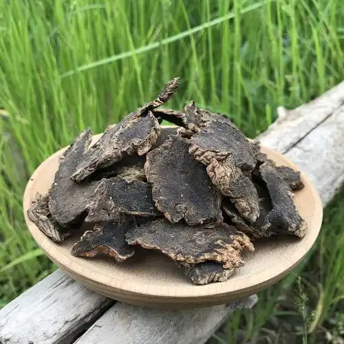 玄参元干货农家茶黑生地中药材另售麦冬熟地桔梗传统滋补品其他