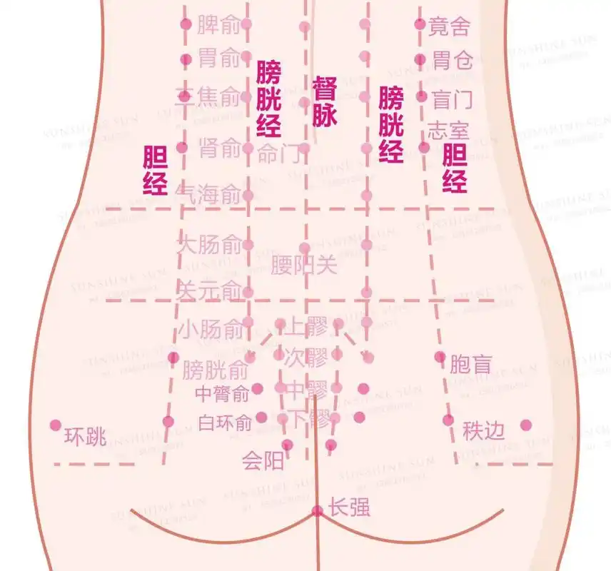 皮肤管理 肾部穴位 经络讲解图
