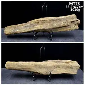 黑龙江木化石冰河时期树化玉硅化木原石摆件天然奇石观赏石标本