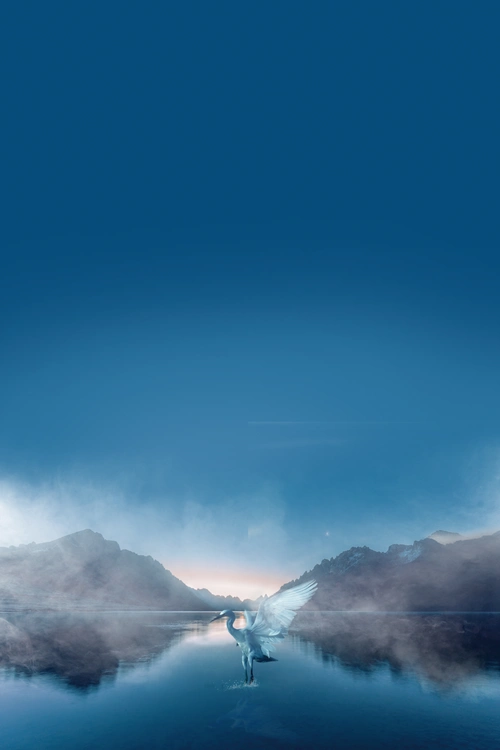 860_1290竖版 竖屏