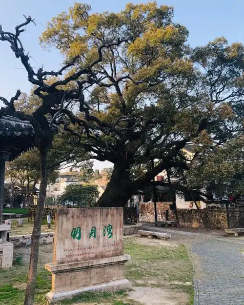 万万没想到苏州明月湾古村这样