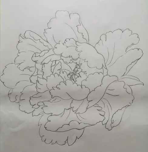 《跟着孟老师学画工笔牡丹》传香 2020.7.11