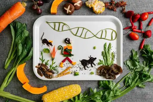 华西味道-四川大学华西医院创意美食大赛