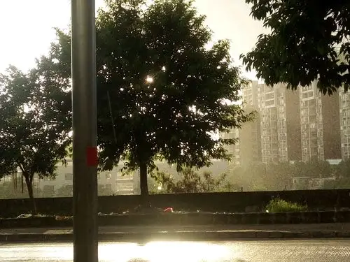 太阳中下雨很美