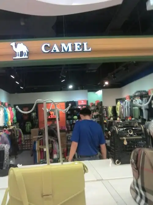 骆驼(万达广场)