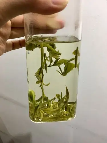 【晒茶记】龙井的另类冲泡