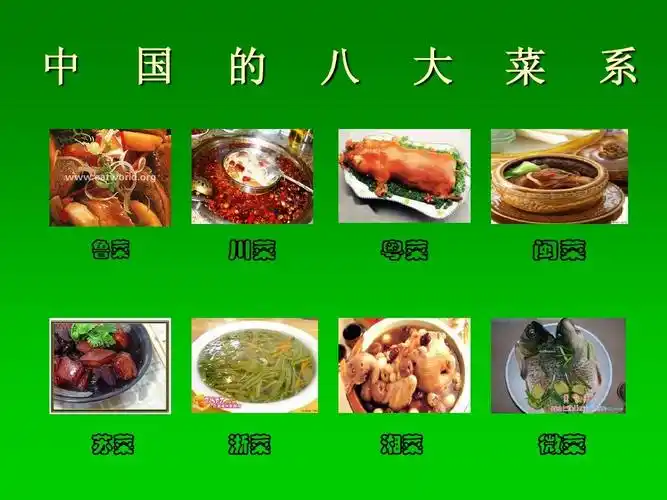 中国饮食文化演讲稿ppt_word文档在线阅读与下载_免费文档