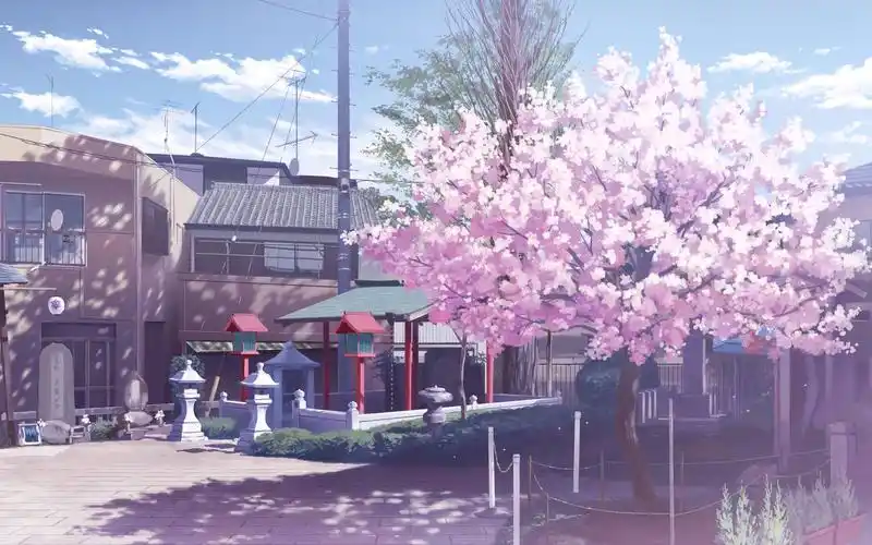 dnw动漫社北大附中dnw动漫社夏日祭回顾