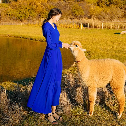 草原旅游女装新疆沙漠拍照防晒雪纺连帽连衣裙连衣裙