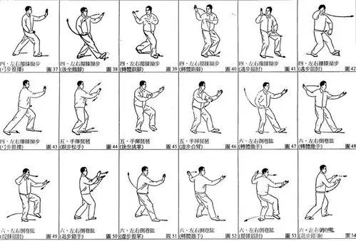 陈氏太极拳24式分解图