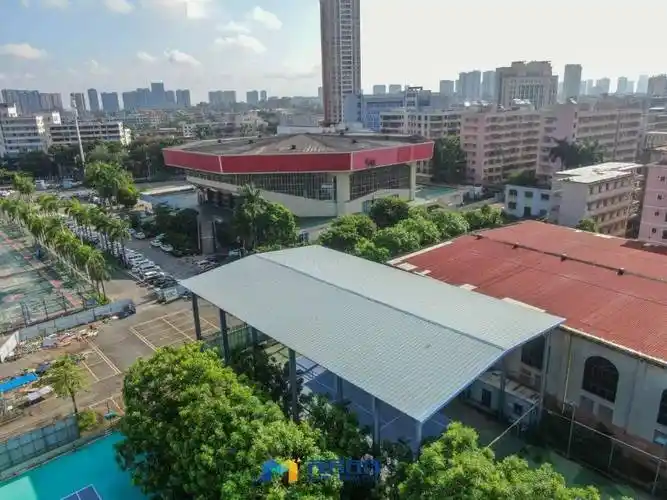 茂名体育中心改造升级终于来了!_地块_建设_面积