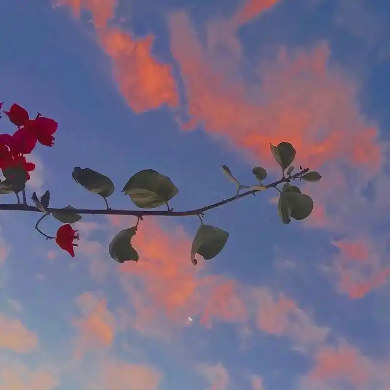 微信朋友圈相册封面|超稀饭的背景图💙💙💙