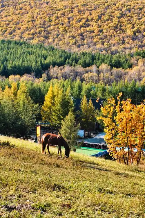 秋游七彩森林 壮美秋景中的n种新玩法