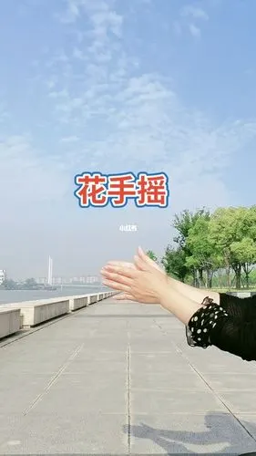 花手摇练习
