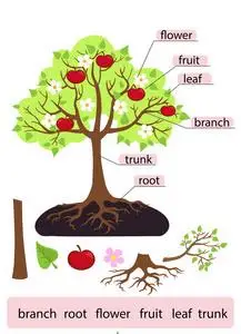 树分支矢量图片