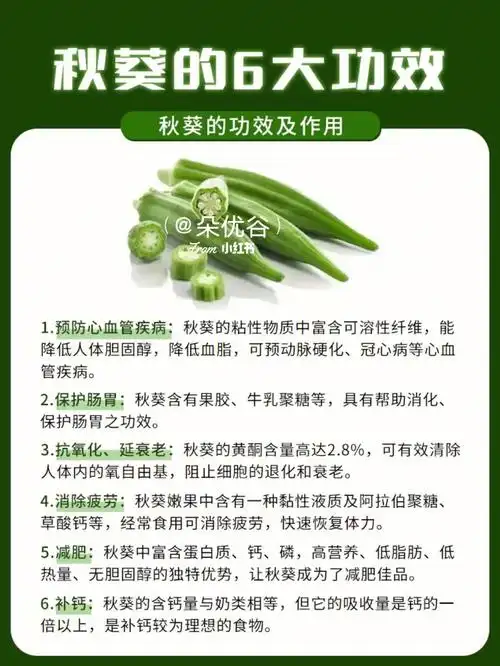 秋葵的666大功效不可不知75称为疾病克星75