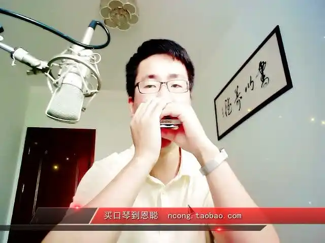 lostmemory海上钢琴师十孔布鲁斯口琴演奏视频