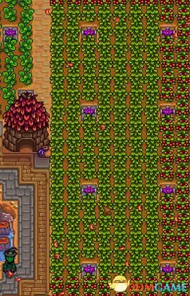 星露谷物语祝尼魔小屋作用介绍祝尼魔小屋有什么用