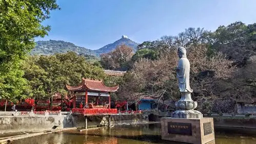 鼓山游,风景这边独好