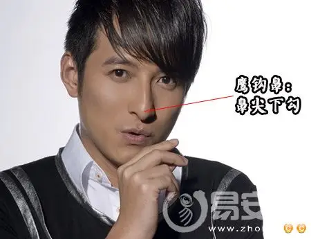 鹰钩鼻看相算命 鹰嘴鼻的人