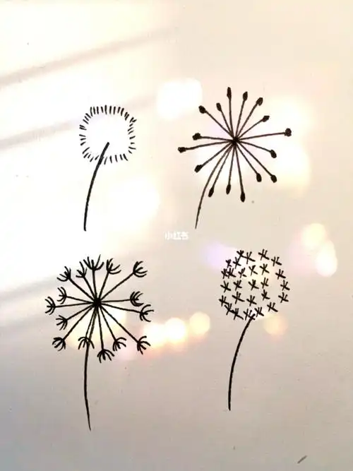 蒲公英简笔画