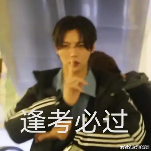 肖宇梁表情包超多图警告