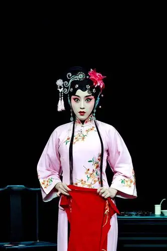 戏曲 京剧 国粹 花旦 青衣 国风