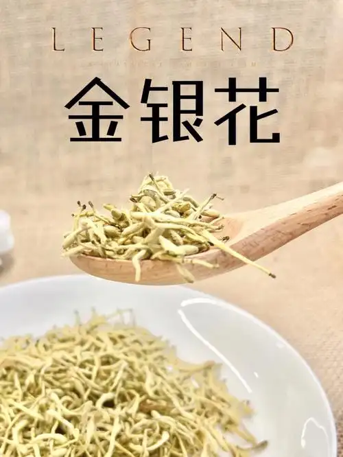 养生中药金银花的功效与禁忌